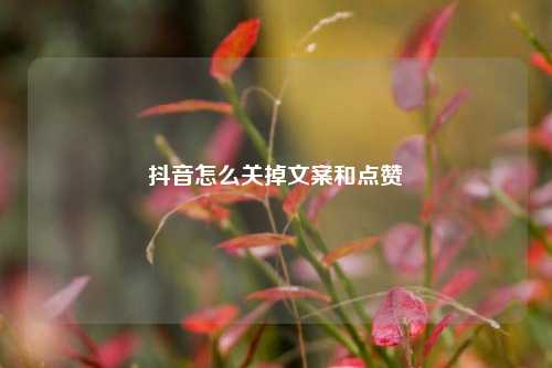 抖音怎么关掉文案和点赞