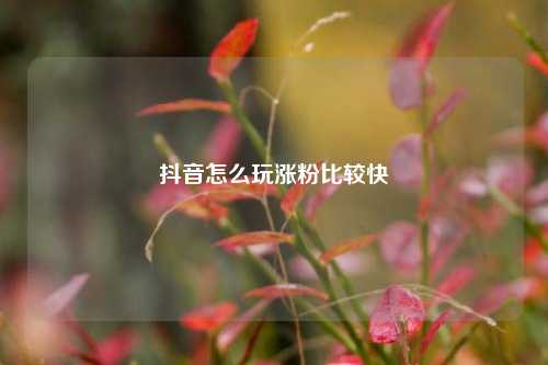 抖音怎么玩涨粉比较快