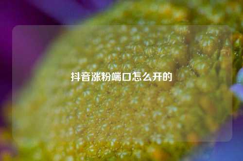 抖音涨粉端口怎么开的