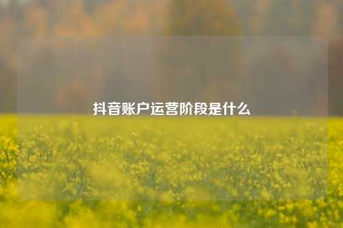 抖音账户运营阶段是什么