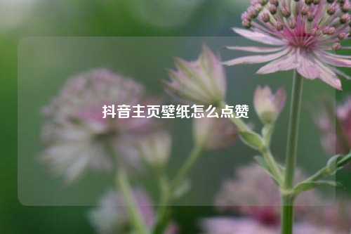 抖音主页壁纸怎么点赞