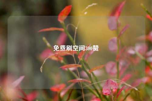 免费刷空间300赞
