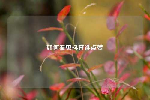 如何看见抖音谁点赞
