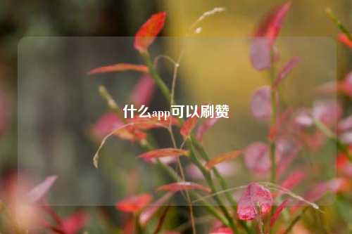 什么app可以刷赞