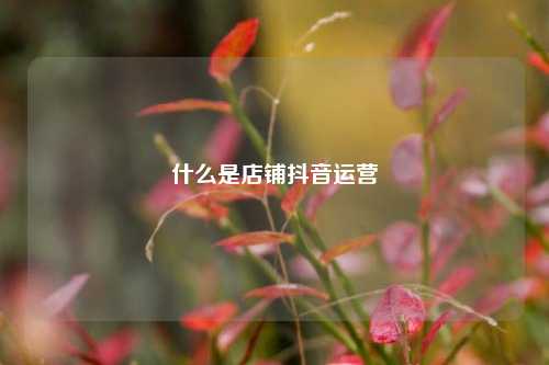 什么是店铺抖音运营
