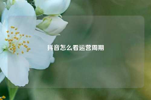 抖音怎么看运营周期