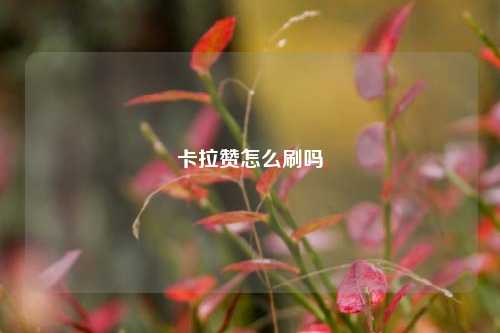 卡拉赞怎么刷吗