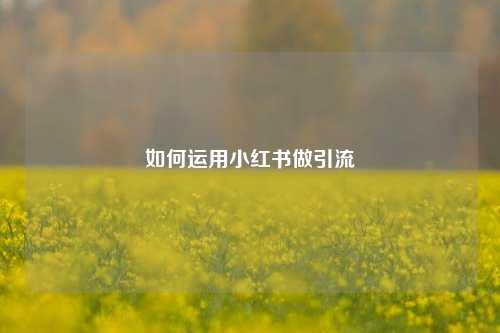 如何运用小红书做引流